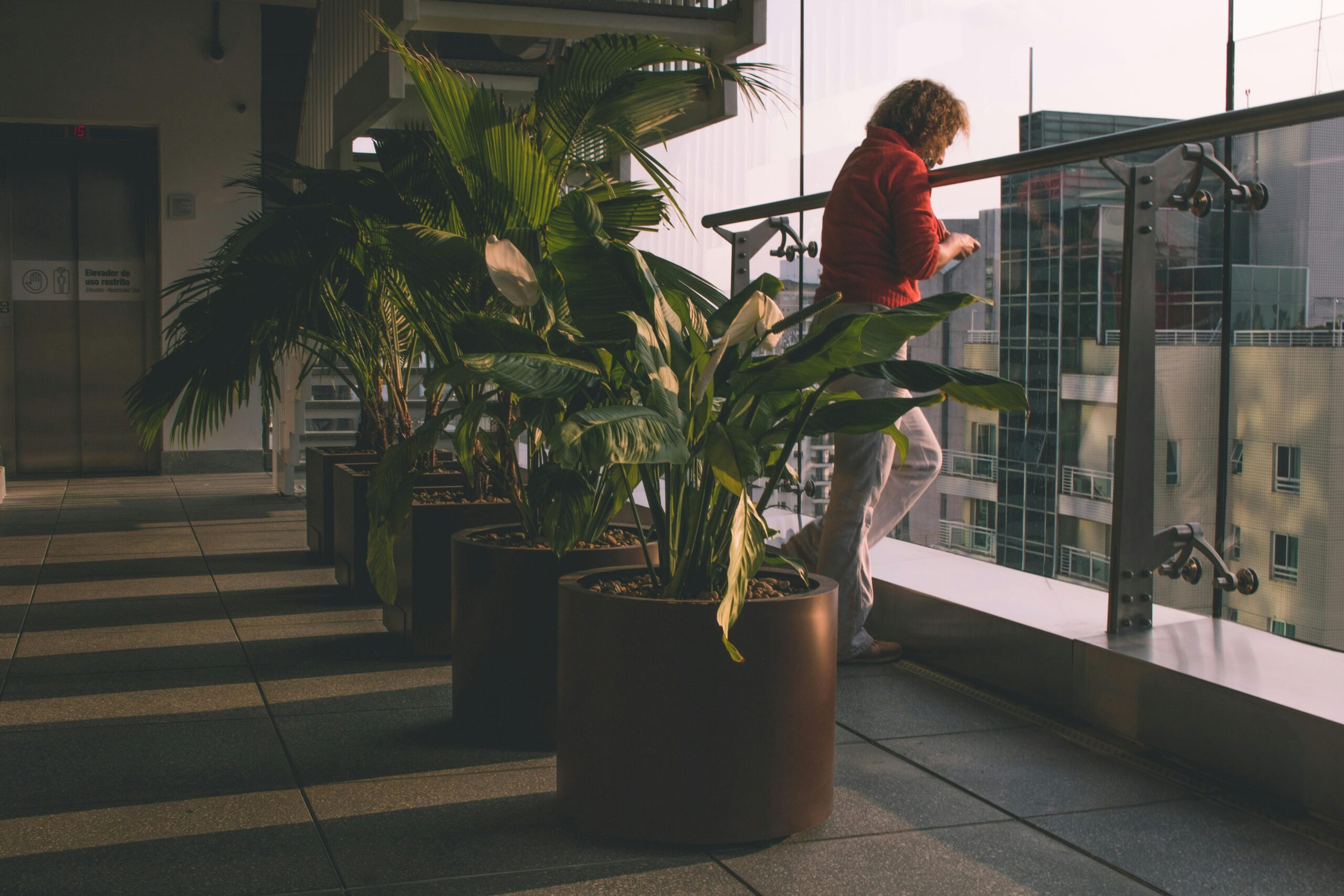 Person enjoying view from a modern balcony with lush potted plants, capturing urban architecture.